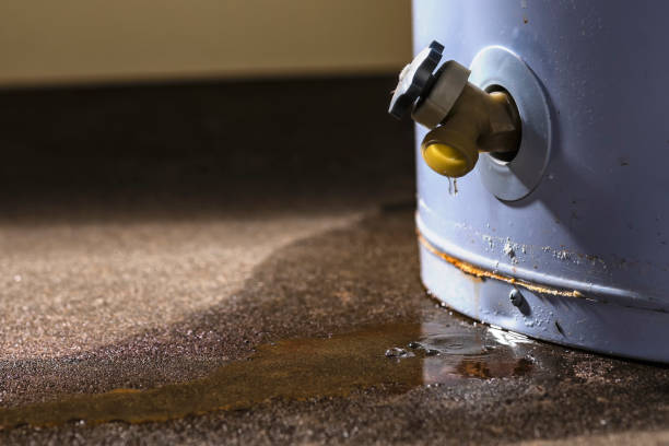 Best Commercial water damage restoration  in Jamul, CA