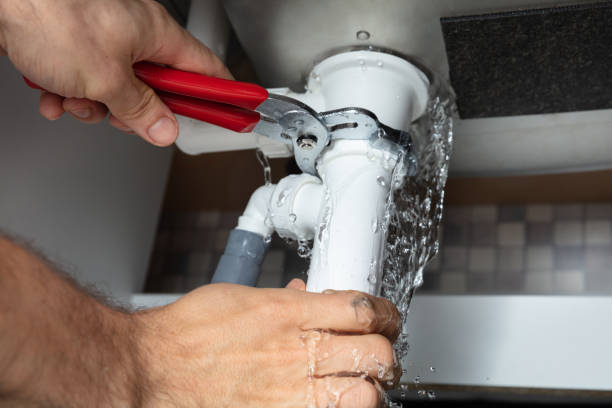 Best Basement water damage restoration  in Jamul, CA