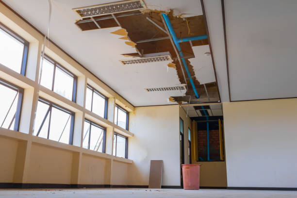 Best Flooded house restoration  in Jamul, CA