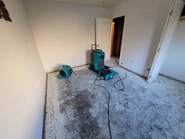 Best Commercial water damage restoration  in Jamul, CA