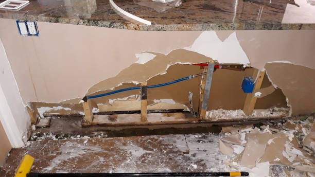 Best Professional water damage repair  in Jamul, CA
