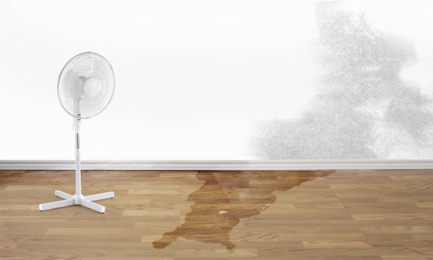 Best Emergency water damage restoration  in Jamul, CA