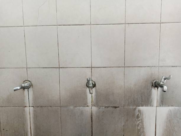 Best Residential water damage restoration  in Jamul, CA