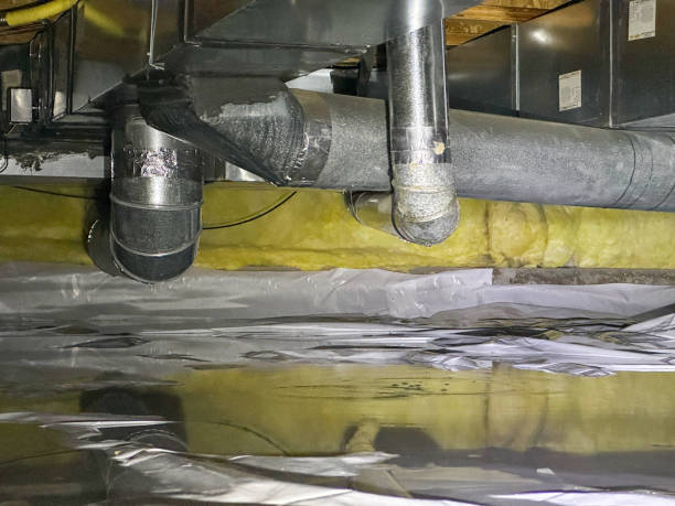 Best 24/7 water damage repair  in Jamul, CA