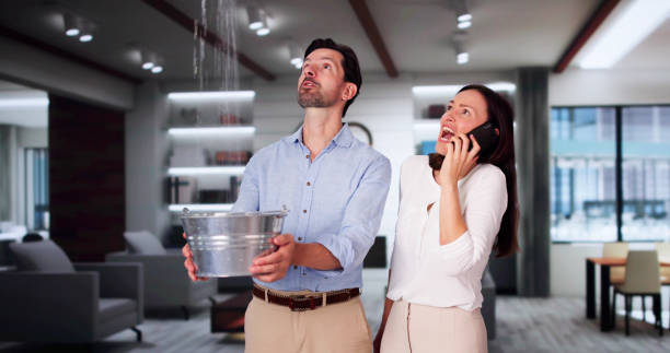 Best Water damage restoration near me  in Jamul, CA